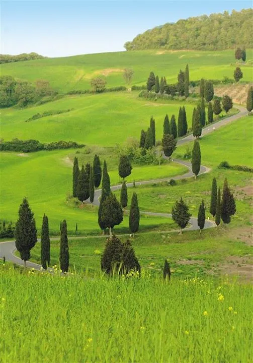 Florence_to_Valdorcia_tour