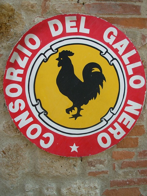 Gallo nero sul muro