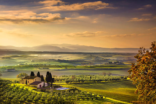 Tuscany Maremma foggy morning, farmland and green fields country landscape. Italy, Europe.