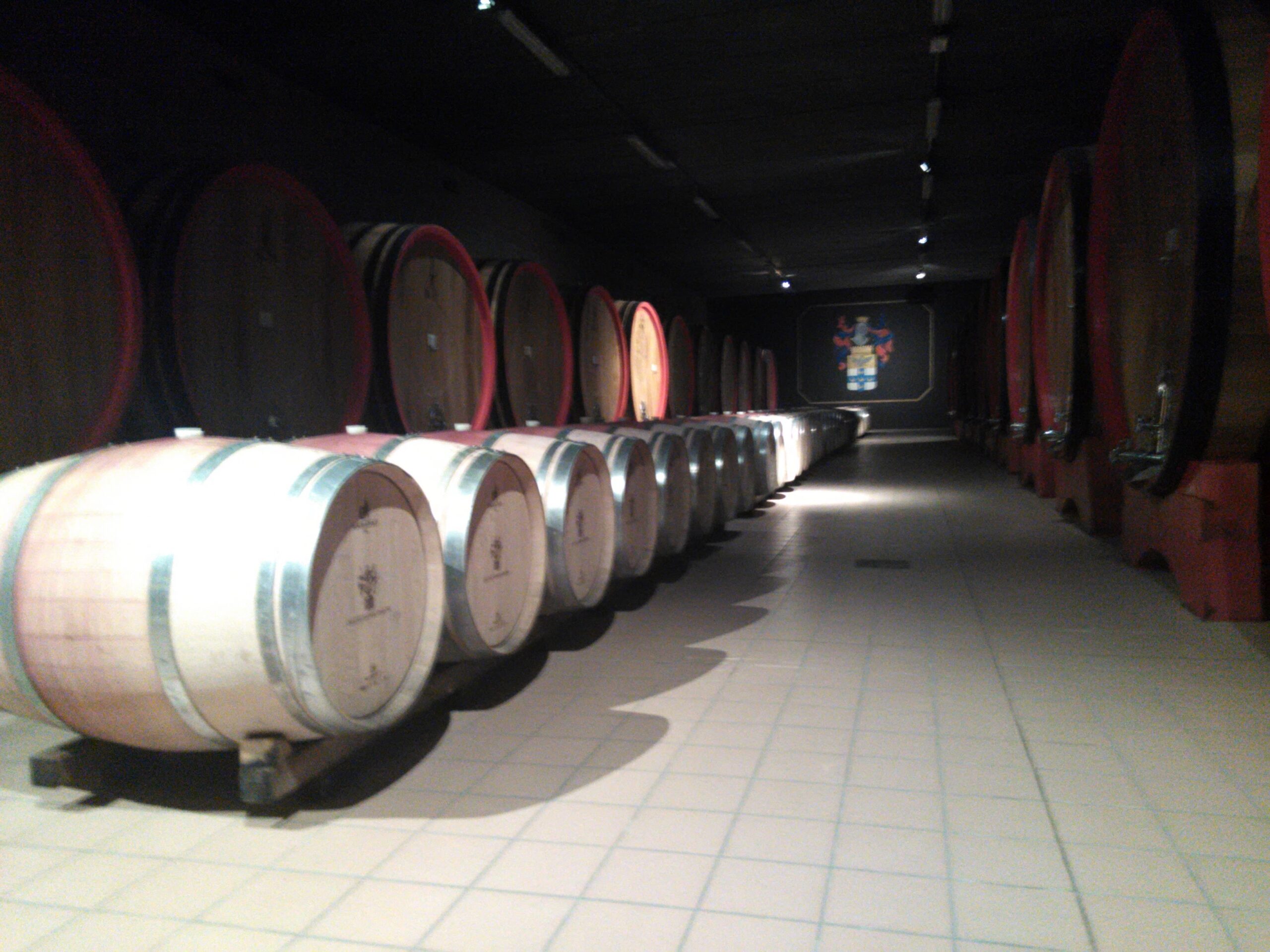 Florence_day_trip_wineries_Brunello