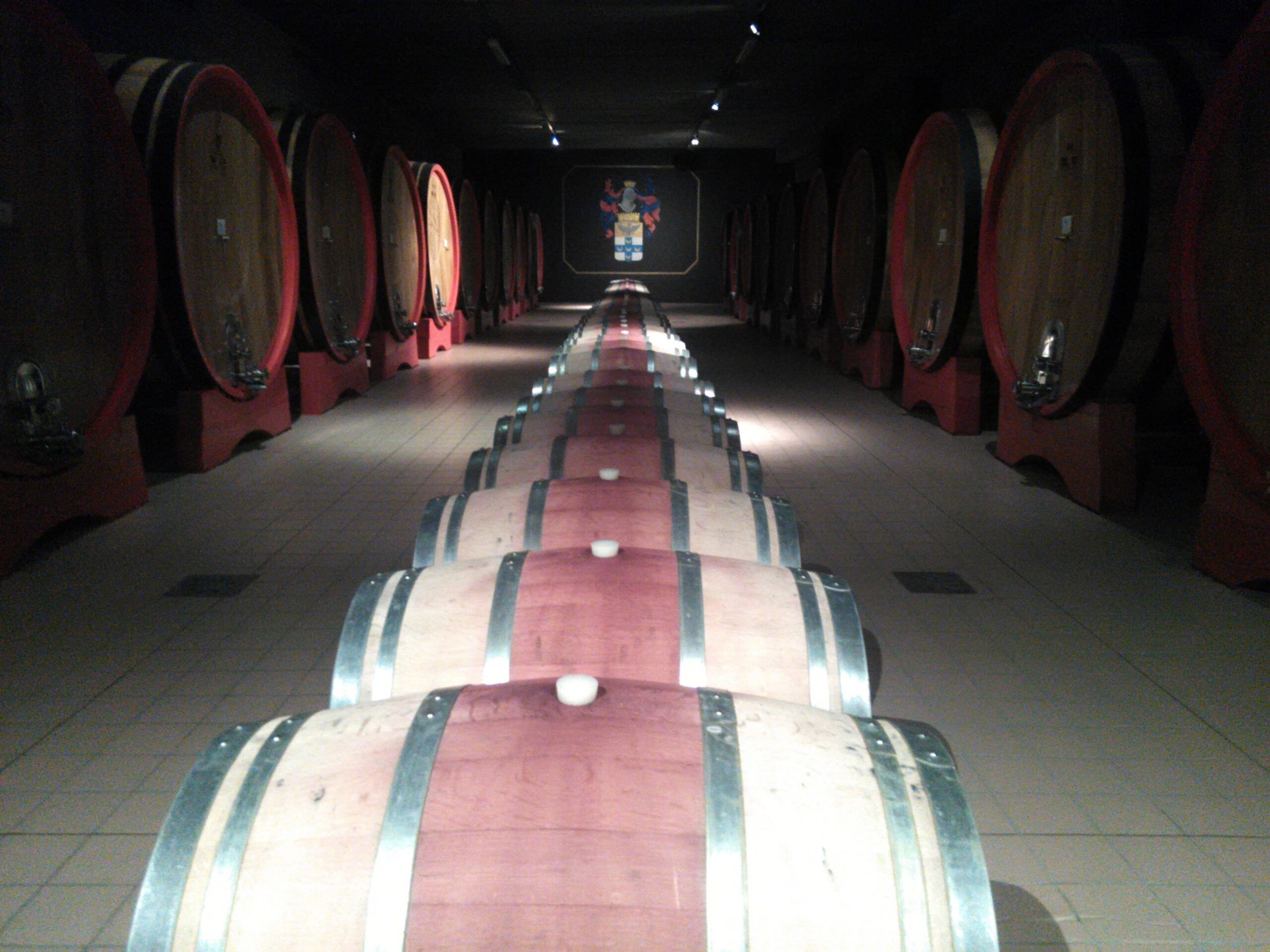 Luxury_wine_tours_from_Florence