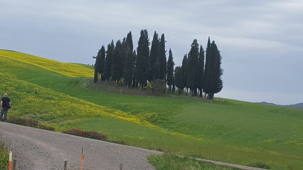 Val d’Orcia wine tour from Florence with Brunello tasting