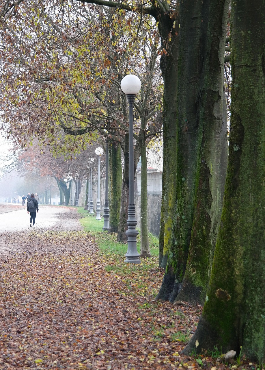 Online_Florence_driving_tour_Lucca_wall