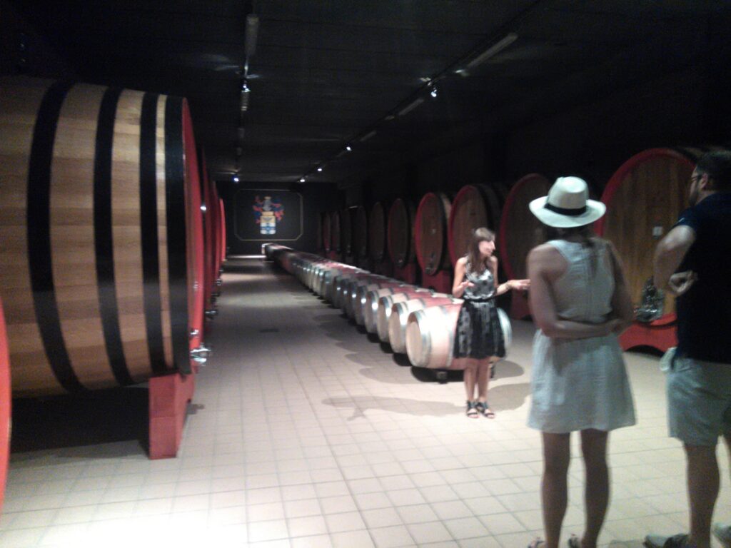Wine cellar visit during a Brunello di Montalcino winery tour in Tuscany