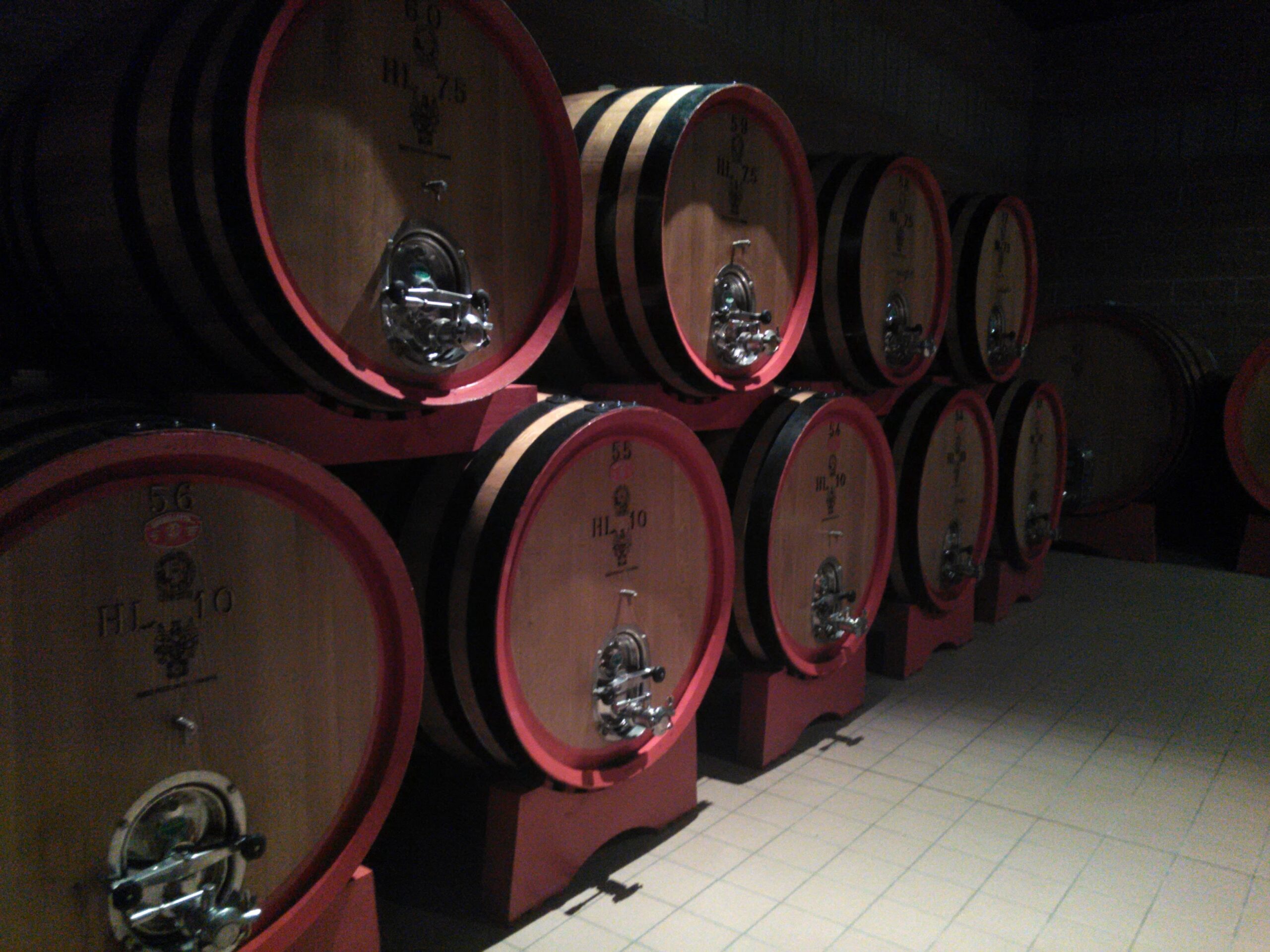 Tailor_winery_tours_from_Florence