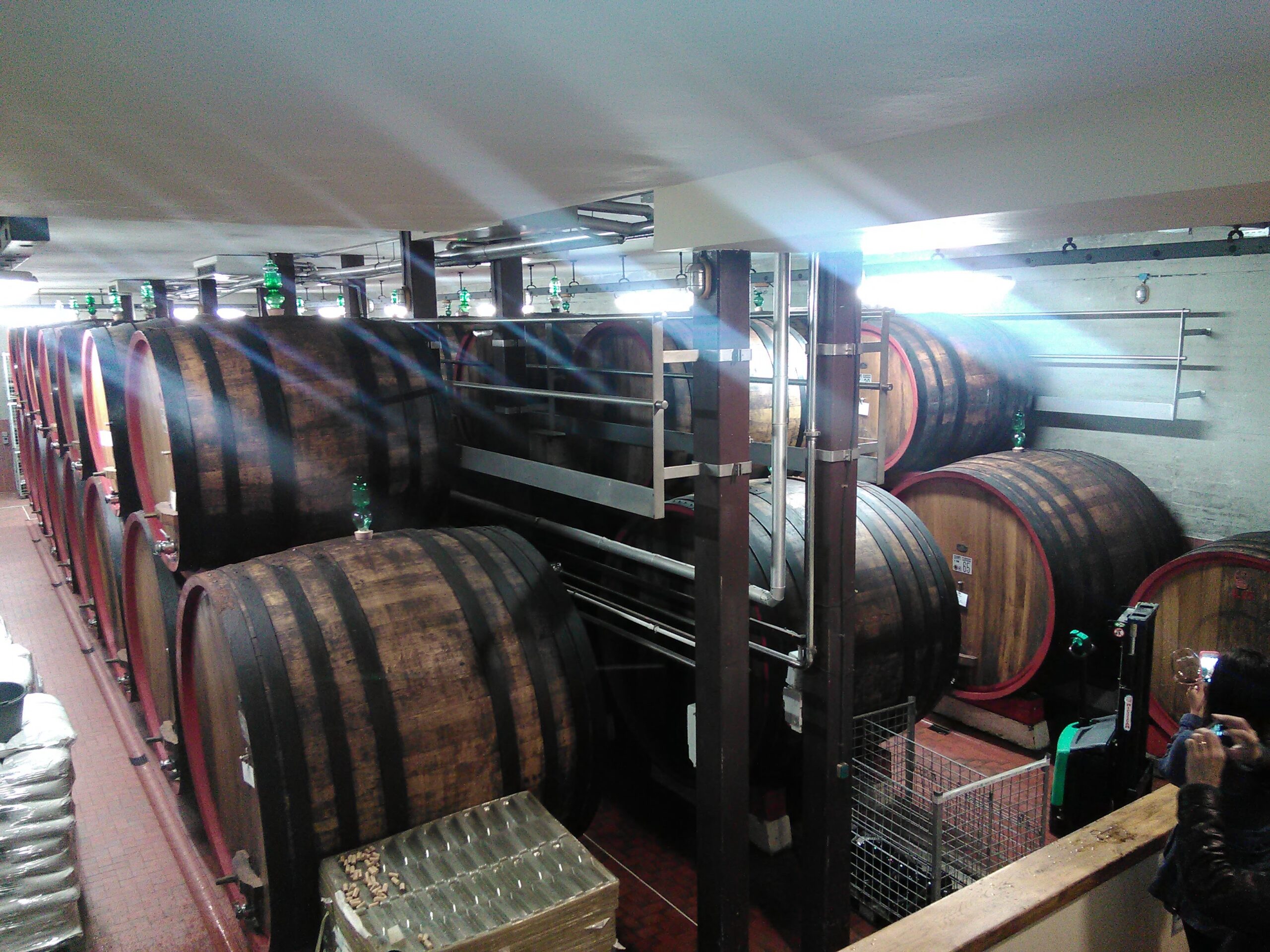 private_guided_tours_wineries_from_Florence